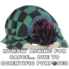 Kimetsu no Yaiba 23