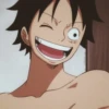 Luffy 25