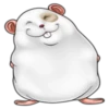 Naughty hamster 21