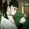 Demon Slayer 23