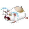 Naughty hamster 22