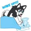 WAKE UP!!!
