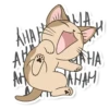 Meowcat 18