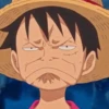Luffy 26