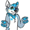 Galaxy’s da Husky 17