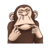 Crazy Funky Monkey 29