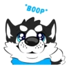 *BOOP*