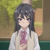Mai Sakurajima 29