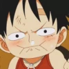 Luffy 28