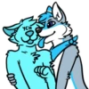 Galaxy’s da Husky 19