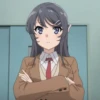 Mai Sakurajima 30