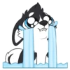 Husky Pack 26
