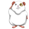 Naughty hamster 28