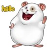 hello