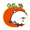 Kawaii Kuma 29