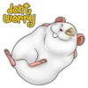 don't worry