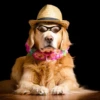 Animals emotions 30