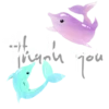 Dolphin little world 16