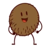 Coconuts-nuts 2