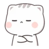 CUTIECAT 6