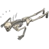 U
0