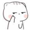 CUTIECAT 7