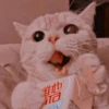 出
eu
理