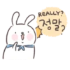 Kim Bunny 5