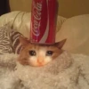 Crying Cat 10