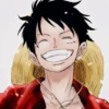 LUFFY 8