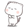 CUTIECAT 8