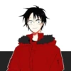 LUFFY 9