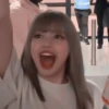 lisa 6