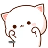 Mochi Mochi Peach Cat 14