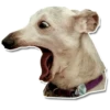 DogStyle 9