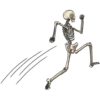 Bob 11
