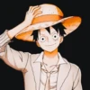 LUFFY 12