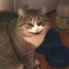 catss 10