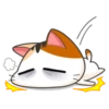Gogil Meow 9