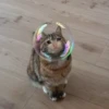 Crying Cat 15