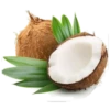 Coconuts-nuts 9