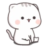 CUTIECAT 11