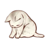 Kitten daily 5