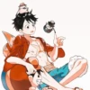 LUFFY 13