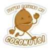 Coconuts-nuts 10