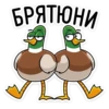 duck_vk 11