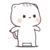 CUTIECAT 12