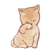 Kitten daily 7