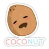 Coconuts-nuts 11
