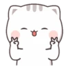 CUTIECAT 14